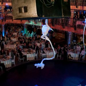 акробатическое шоу