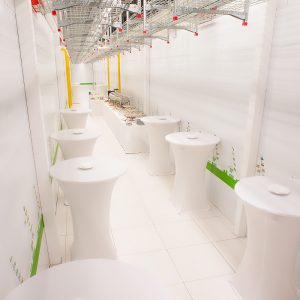 Фуршетные столы