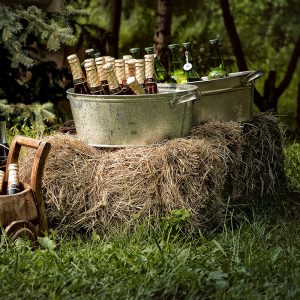 пикник на свадьбе