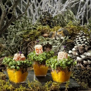 кейтеринг 16 тонн закуска новогодняя